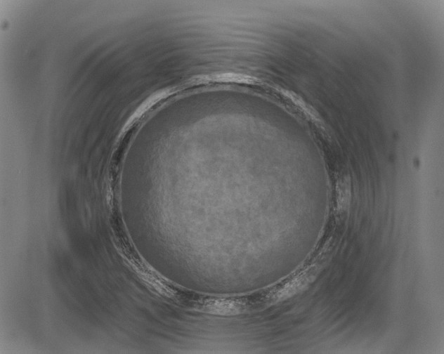 X0000084041266200702161425