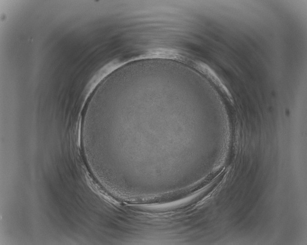 X0000084041276200702161425