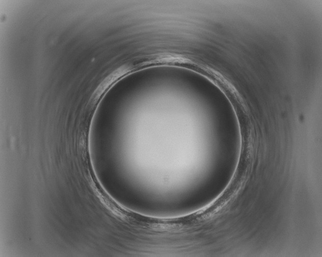 X0000084041281200702161425