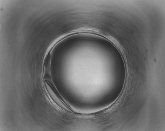 X0000084041296200702161425