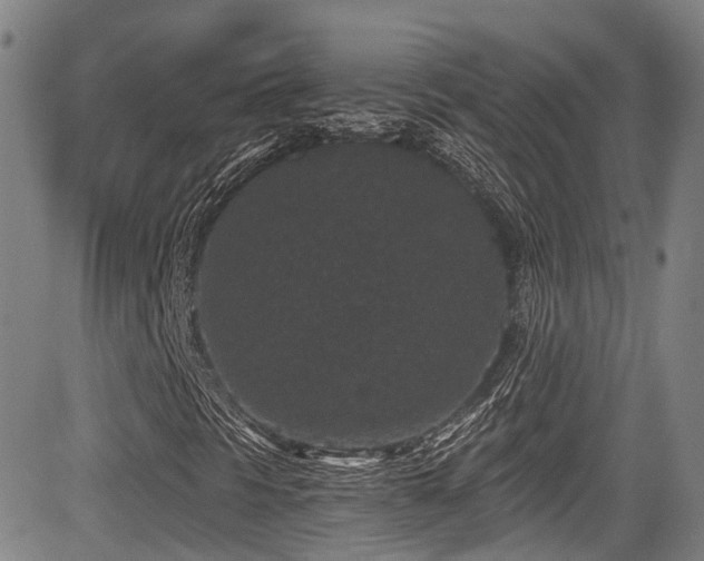 X0000084041297200702161424