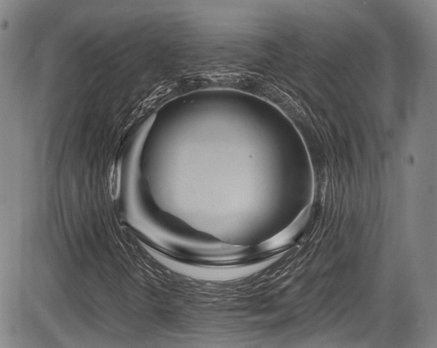 X0000084041298200702161424