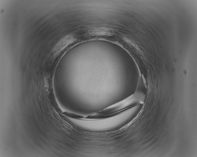 X0000084041305200702161424