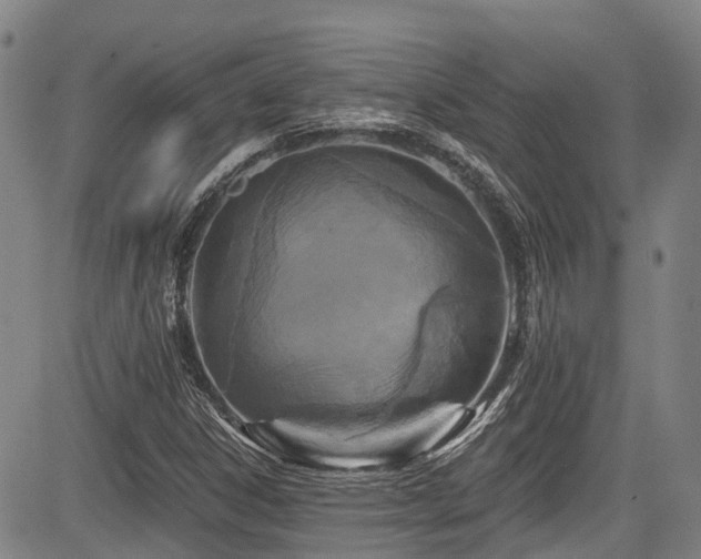 X0000084041306200702161424