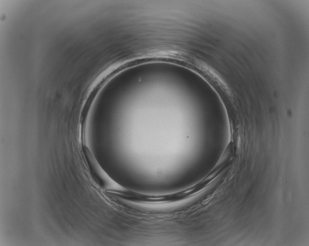X0000084041324200702161425