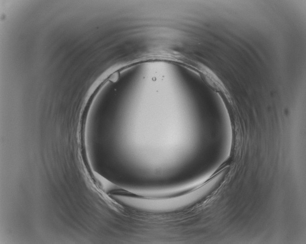 X0000084041339200702161425