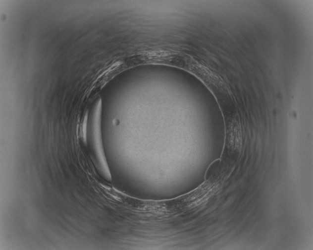 X0000084041346200702161424