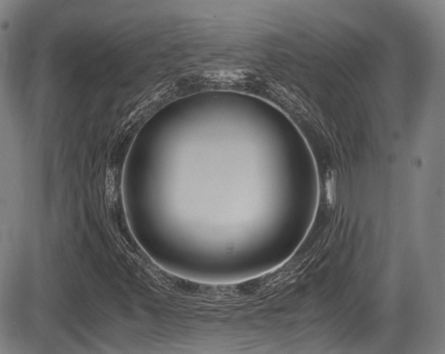 X0000084041347200702161424