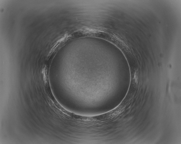 X0000084041348200702161424