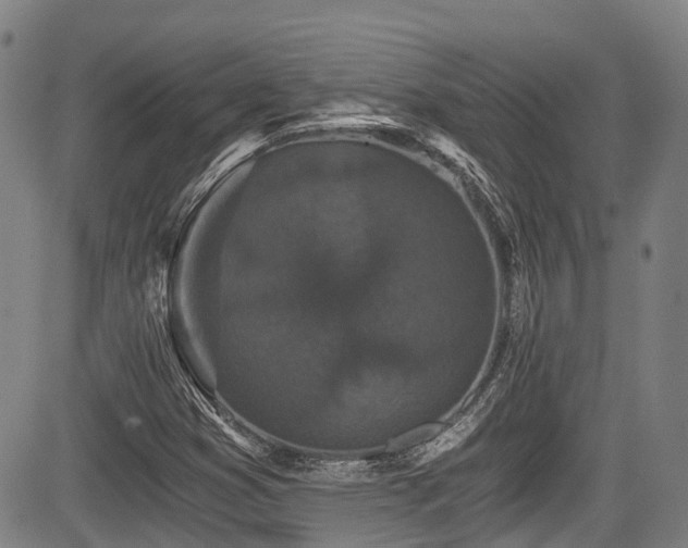X0000084041353200702161424
