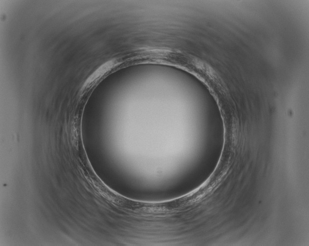 X0000084041354200702161424