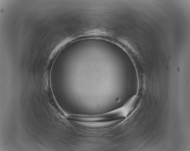 X0000084041358200702161424