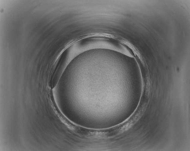 X0000084041377200702161424
