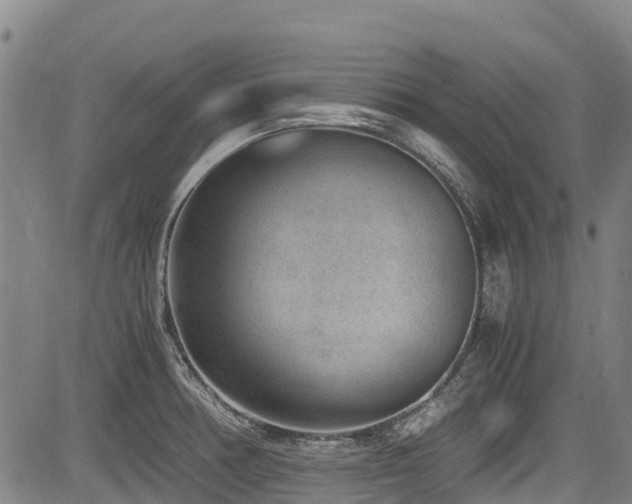 X0000084041378200702161424