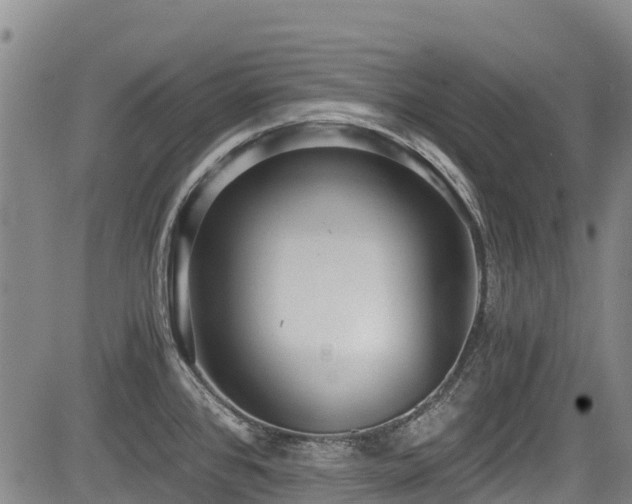 X0000084041384200702161423