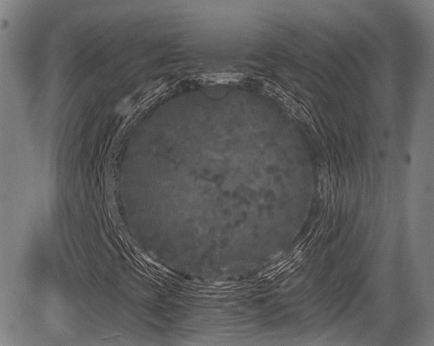 X0000084041393200702161423