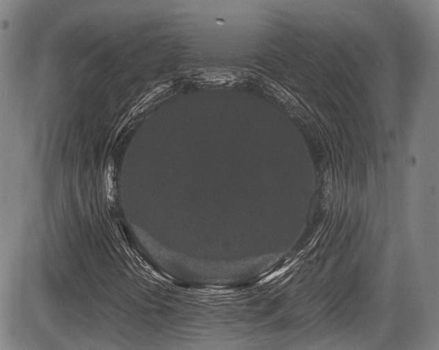 X0000084041394200702161423