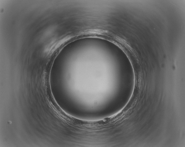 X0000084041404200702161423