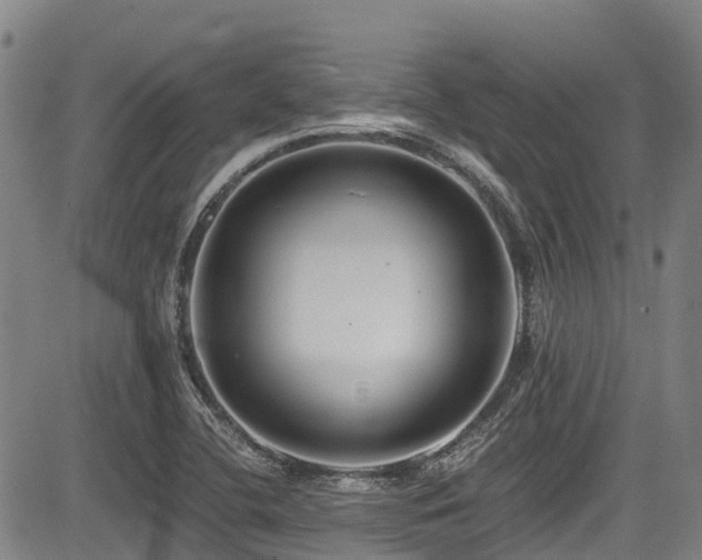 X0000084041412200702161423