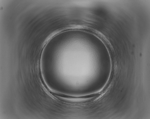 X0000084041417200702161423