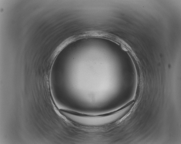 X0000084041433200702161423