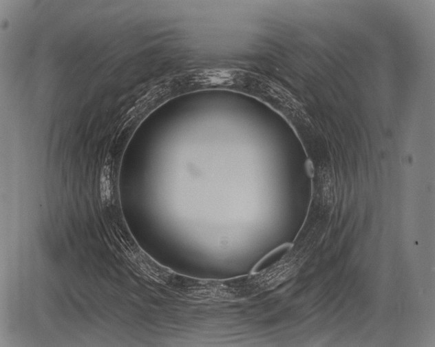 X0000084041442200702161422