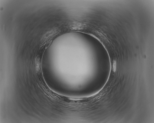 X0000084041444200702161422