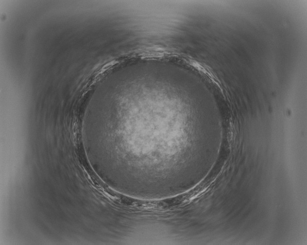 X0000084041445200702161422
