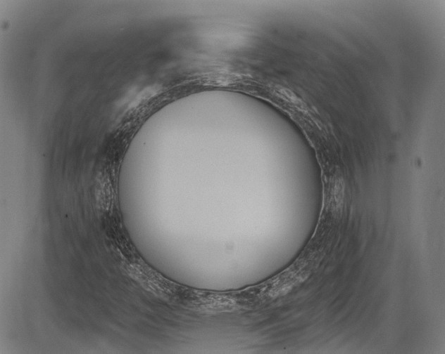 X0000084041446200702161422