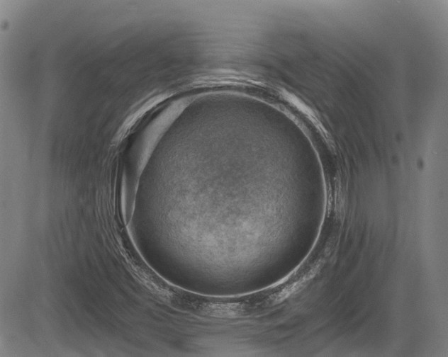 X0000084041453200702161422