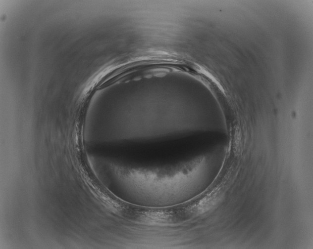 X0000084041455200702161422