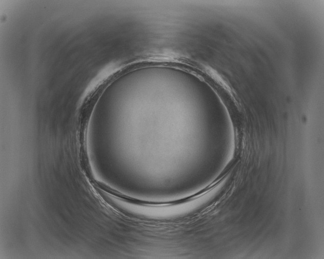 X0000084041456200702161422
