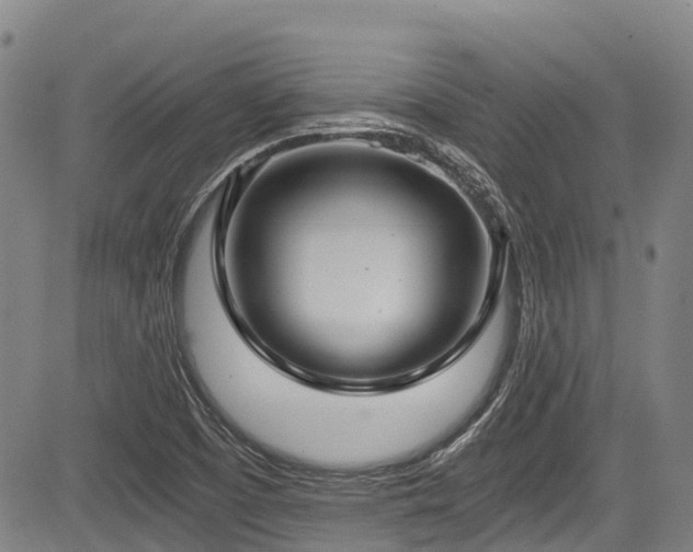X0000084041457200702161422