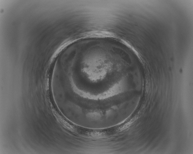 X0000084041459200702161422
