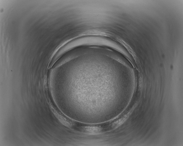 X0000084041465200702161422