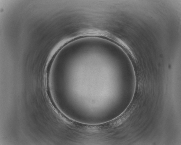 X0000084041472200702161422