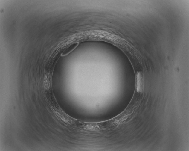 X0000084041491200702161421