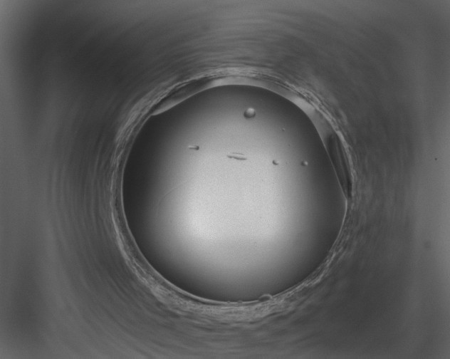 X0000084040001200702232337