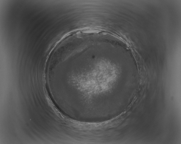 X0000084040002200702232337