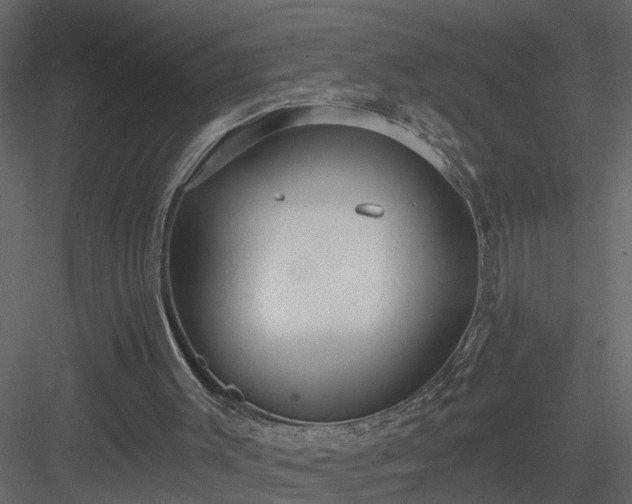 X0000084040003200702232337