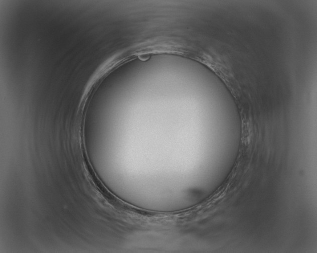 X0000084040004200702232337