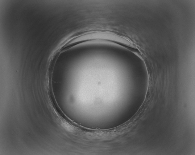 X0000084040005200702232337