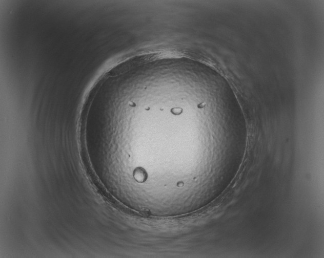 X0000084040006200702232337