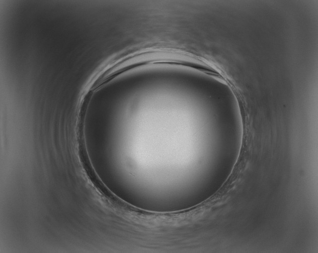 X0000084040007200702232337