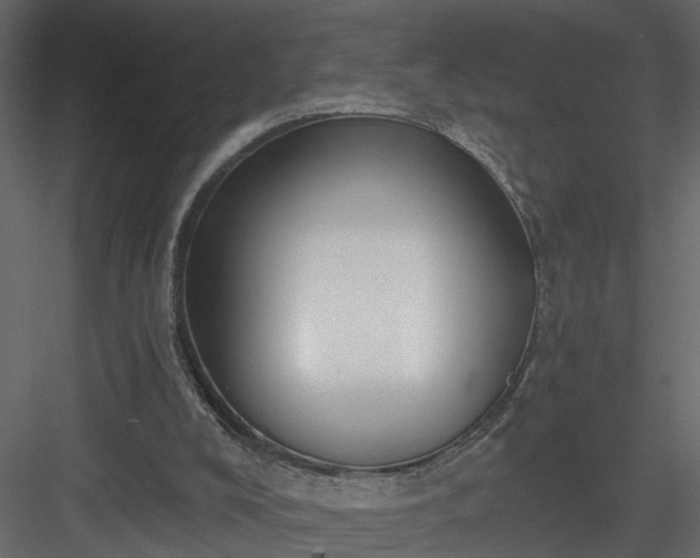 X0000084040008200702232337