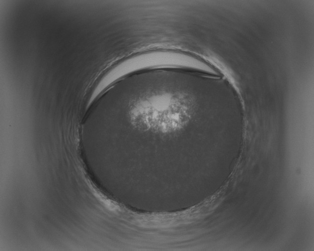 X0000084040009200702232337