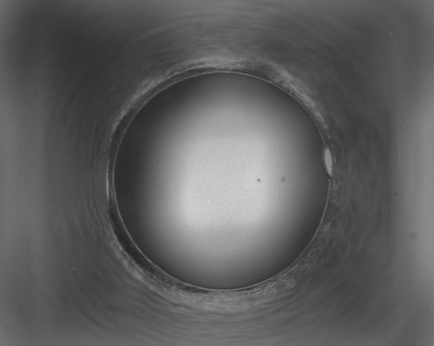 X0000084040011200702232337