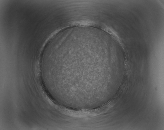 X0000084040012200702232337