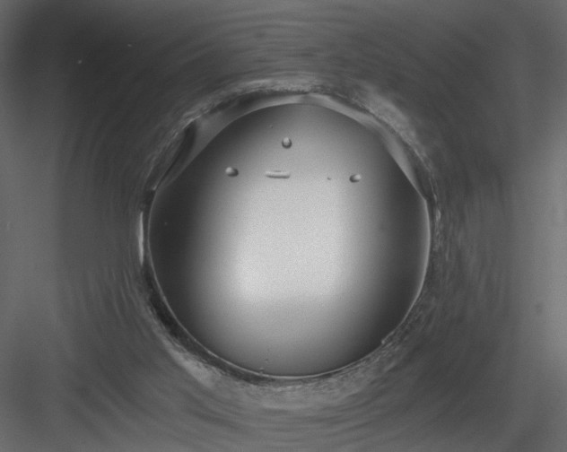 X0000084040013200702232337