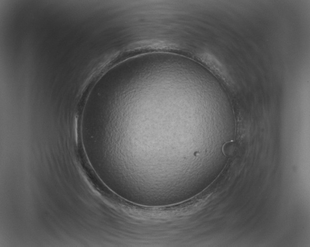 X0000084040014200702232337